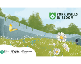 An illustration of York's Walls overlooked by a floral meadow. Logos included on the artwork are City of York Council, Green Corridors and the National Lottery Community Fund.