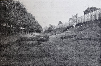 Early black and white photograph of steep and flatter parts of the ramparts, with sheep grazing on the banked area.