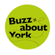 Buzz About York icon