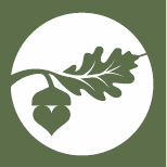 a Green logo on a white background of an oak leaf and an acorn