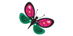 Stylised illustration of a pink and green butterfly.