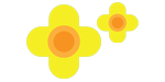 Illustration of 2 stylised yellow flowers, with orange middles.