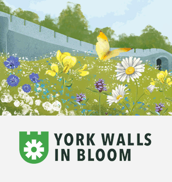 York Walls in Bloom, illustration and logo