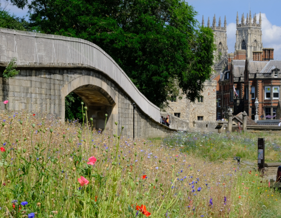 View of the York city walls with blooming flowers in front and a view of the minster from behind